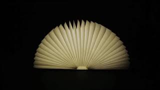 Book Light
