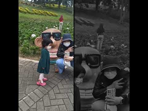 Shaun The Sheep Photo With Farmer