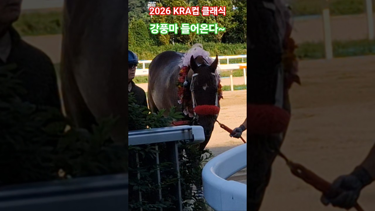 하늘이주신 선물~#대상경주 #경마 #말#달려라말 #shorts