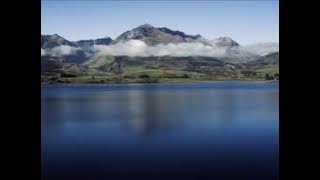 VIDA  NUEVA  (Cha Cha Cha x Fisa) Ballestri - Albo - Garofolo - Giungi