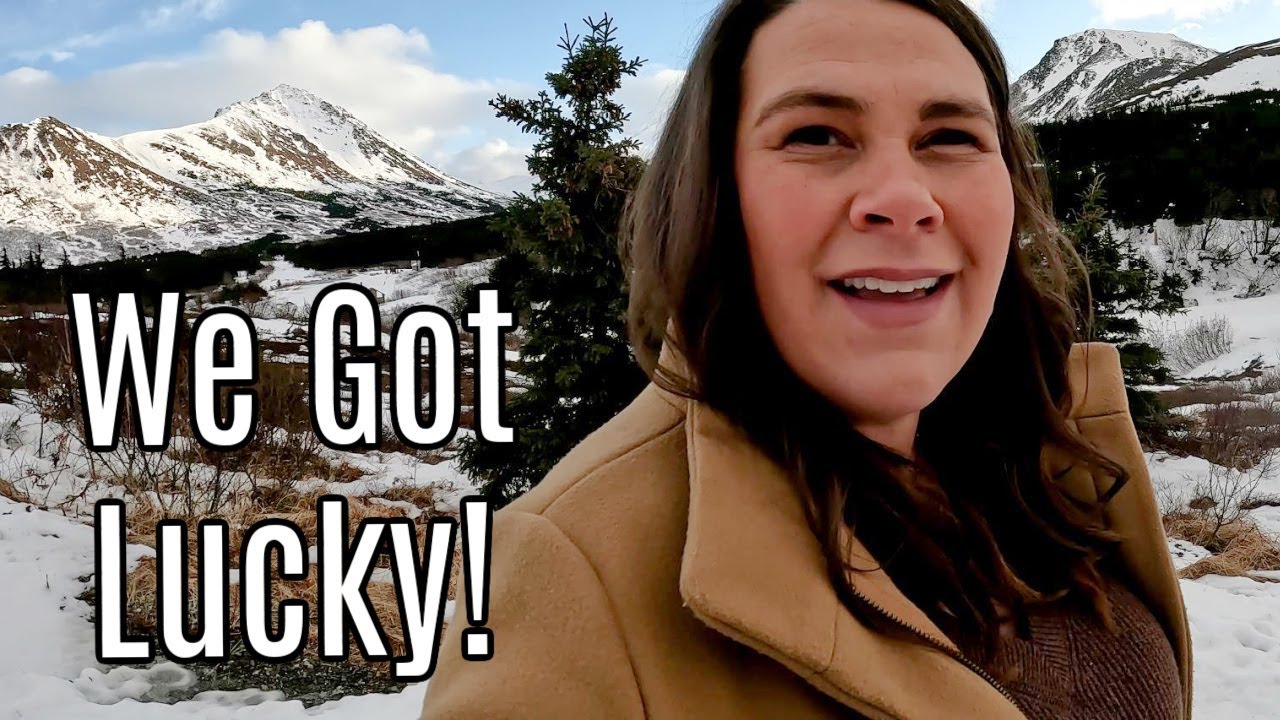 We're Getting Ready for You!! Christmas Card Exchange 2023 YouTube