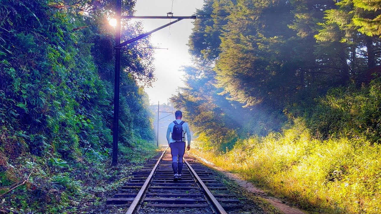 Encontrei uma ferrovia abandonada na Serra da Mantiqueira! [FerroTrekking EFCJ]