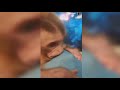 باري تيوب و دردبج يشاهدون مقطع أمس