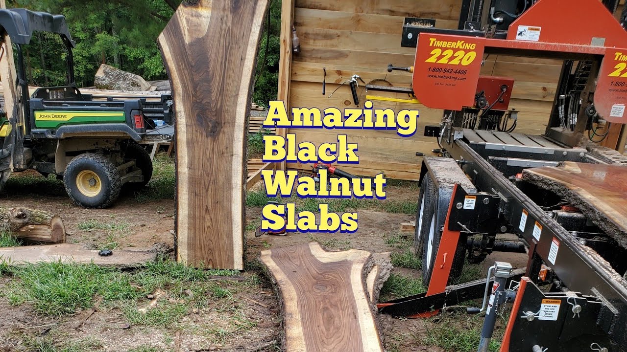 Timberking 2220 finds a nutty surprise in this huge Black Walnut log