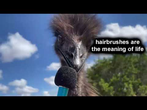 🎤🗨🐭Interviewing animals WITH VOICES with a tiny mic