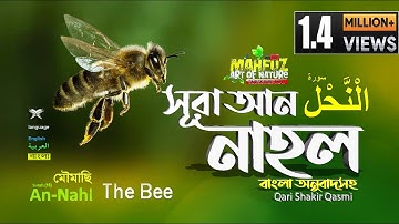 16) সূরা নাহল - Surah An-Nahl (bee) | سورة النحل অনুবাদ | Qari Shakir Qasmi | mahfuz art of nature