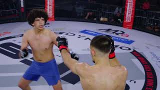 Bouziri Vs. Berg Fight Highlights Ufs Contenders Hamburg