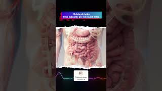 Si Ti Largoni Gazrat Dhe Të Bëni Petë Barkun E Fryrë Me 4 Përbërës Të Zakonshëm