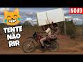 TENTE NÃO RIR ???? OS VÍDEOS MAIS ENGRAÇADOS DA INTERNET!