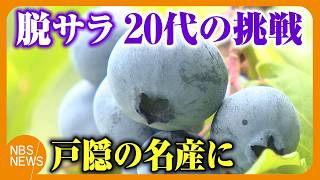 Two coworkers in their 20s quit their shipping jobs to become farmers: 'Making Togakushi a bluebe...
