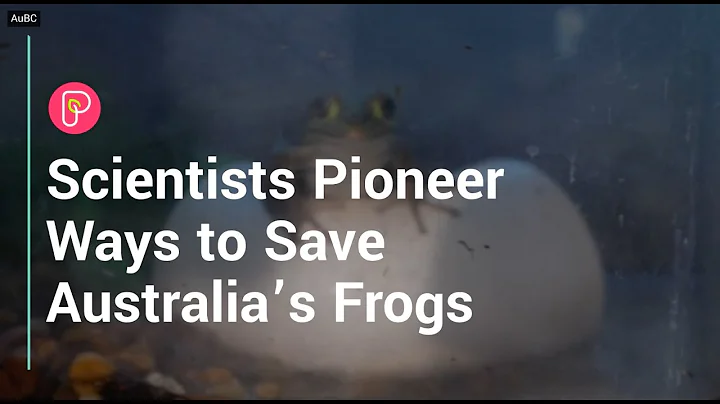 Citizen Scientists Save Frogs