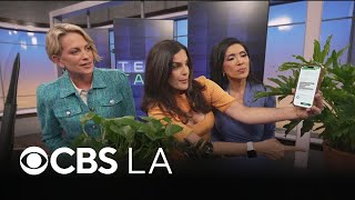 Sustainability tech for Earth Month | Tech Talk