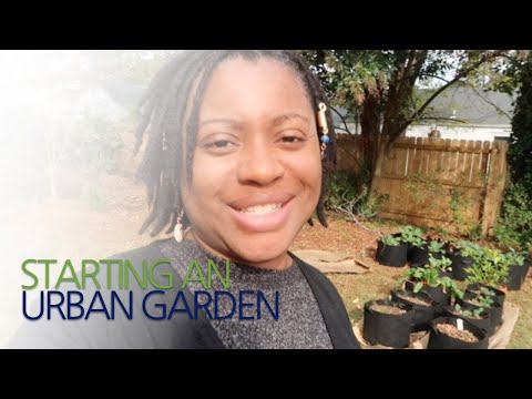 Starting an Urban Garden Homestead | VLOG