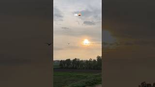 Wow you se last view 🫡 #sound #violin #relaxing #sunset #shorts #soothingrelaxation