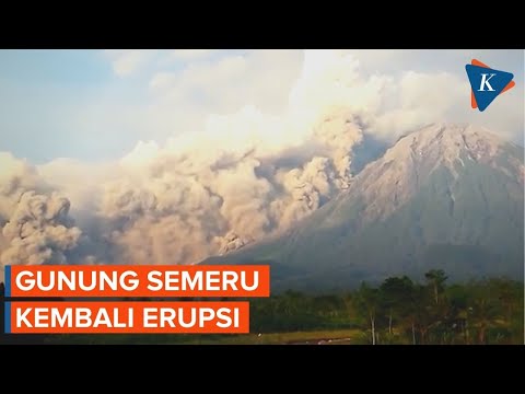 Gunung Semeru Jawa Timur Kembali Erupsi