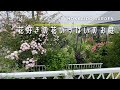 【ガーデニング】大人気・個人庭シリーズ。敷地いっぱいに植えられたたっぷりの花々をお楽しみください。【園芸】【ガーデン】