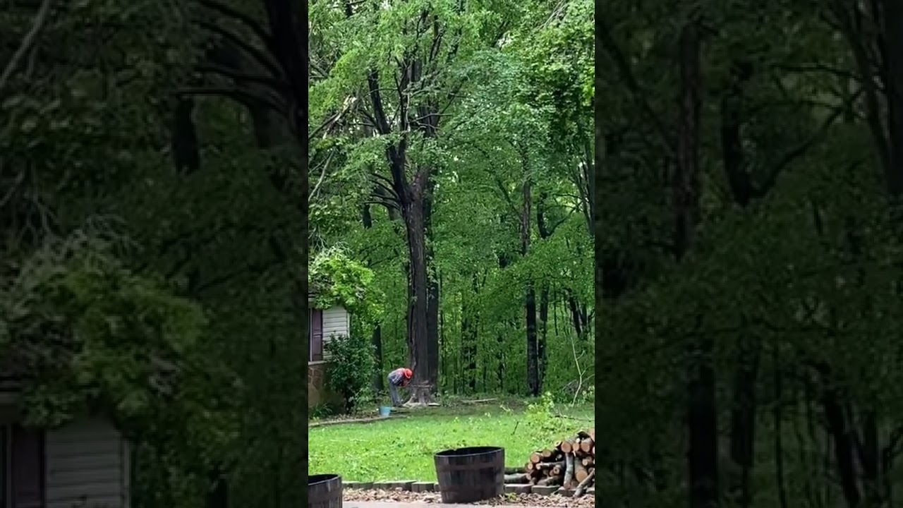 592xp takes down storm damage tree that fall really close to house like subscribe and hit the bell