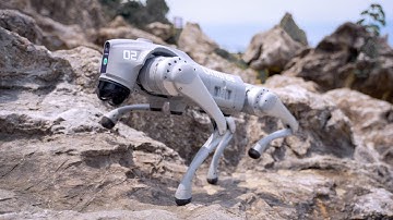 Unitree Go2 Quadruped Robot - The Future of Robotics #unitree #ai #advancedrobots
