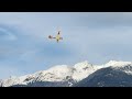 Winterflug mit Bergfalke (Pichler)