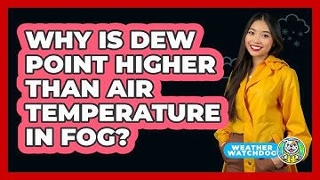 Why Is Dew Point Higher Than Air Temperature In Fog? - Weather Watchdog