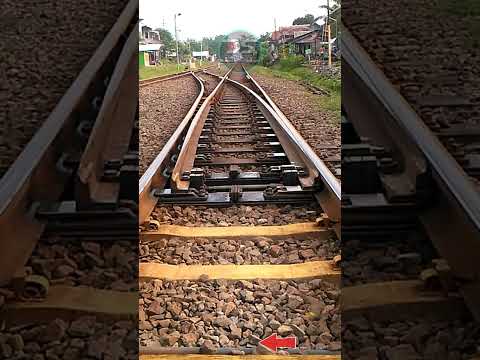 Video: Cara Menyewa Kereta: 13 Langkah (dengan Gambar)