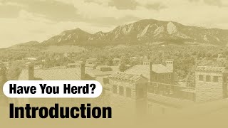 Have You Herd - Introduction | CU Boulder Noticias