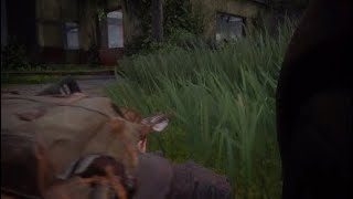 Loup2 Grounded Seraphite Island Wolf Vs Scars Guide