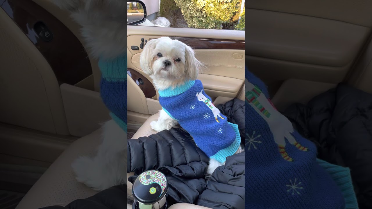 Lexi Waits For Her Nail Trim