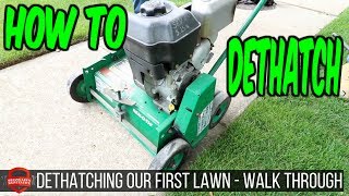 Dethatching Our First Lawn - How To - Vlog Walk Through