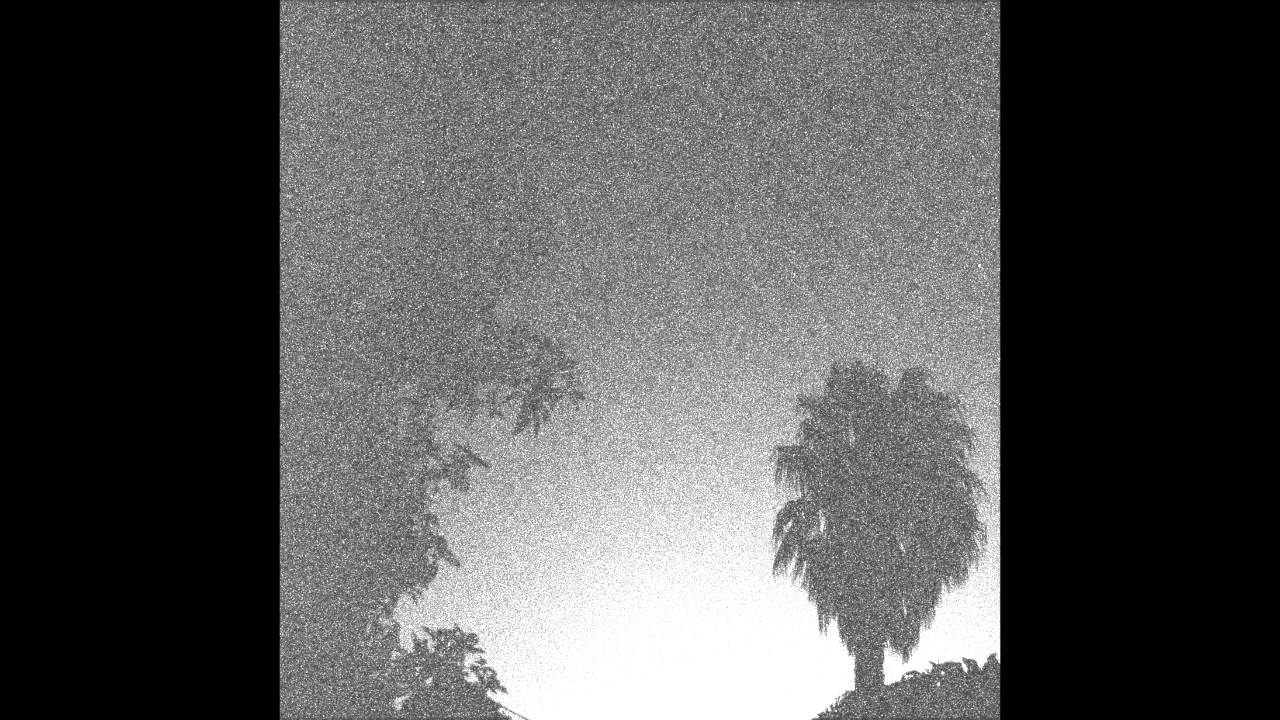 Warren Raww - DFLFHT