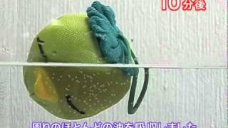 お掃除革命　アカパックン