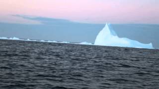 AMAZING ICEBERG FOOTAGE!!