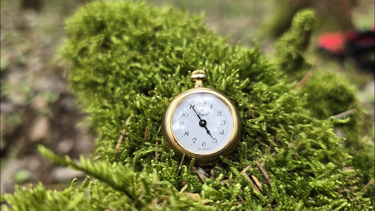 Royal Watch | Royal Uhr | Reloj Royal | Часы Royal 🔥🔥🔥