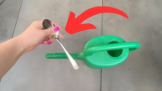 Gardeners attach a spoon to a watering can for one reason by Clever Hacks 2,939 views 4 days ago 9 minutes, 45 seconds