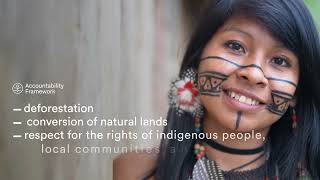 New Rtrs Standard For Responsible Soy