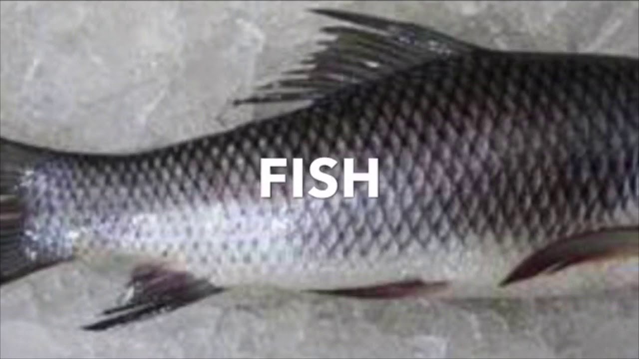 Foods That Lower Your Cholesterol fast - Best Foods to lower cholesterol fast - HakeemShahzad