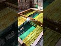 鹿児島の山奥に潜む！全国でも有数のまるで川のような温泉#shorts