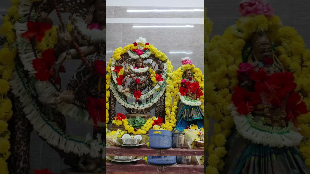 Aarudhra Natarajar alankaram  January 2026 