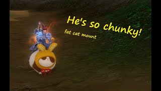 Aion Bunny Hat Tabby - Protective Shield