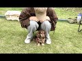 犬が苦手なダックスがダックスオフ会に参加した結果