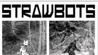 Strawbots Episode 1.2 - Harvey 2.0 Hoax?