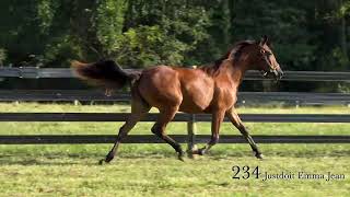 Full 234 Justdoit Emma Jean/Midwest Standardbred 26 News