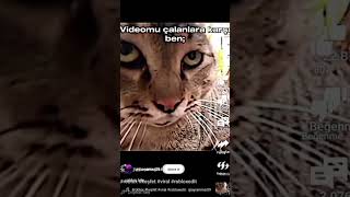 Çalmayın Kardeşim