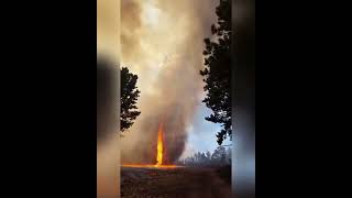 🔥🌪 Regular Tornadoes ,HOWEVER, Have you Ever Seen A Fire Tornado??