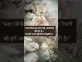 Shraddh | Status