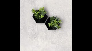 Vasos De Parede Decorativos