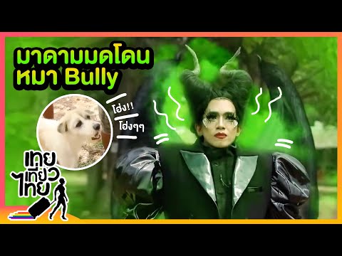 มาดามมด โดนหมา Bully | เทยเที่ยวไทย