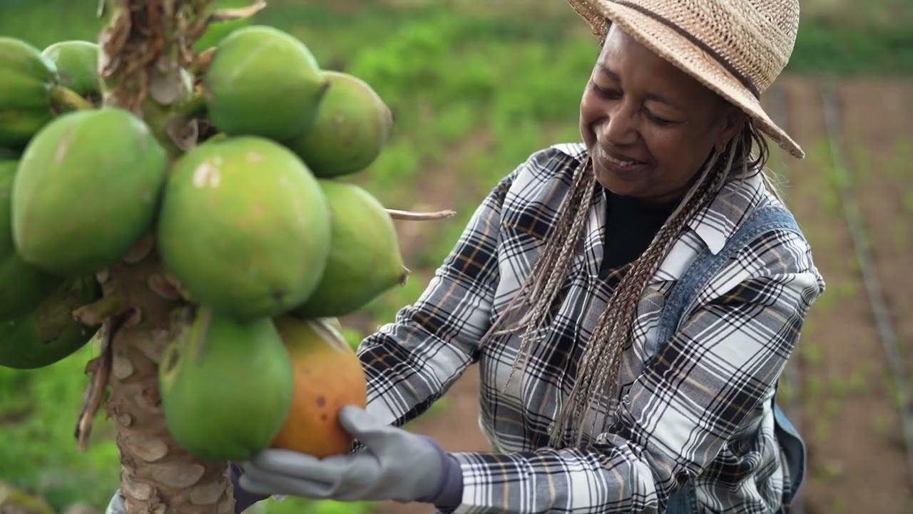 Satellite Applications Catapult - ForestMind