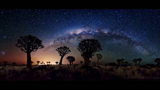 The Tragically Hip - Long Time Running