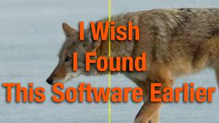 My New Favorite Denoising and Raw Editing Software...No Subscription!